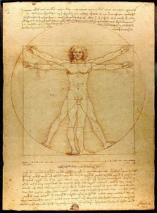 Da Vinci Vitruve Luc Viatour (1)